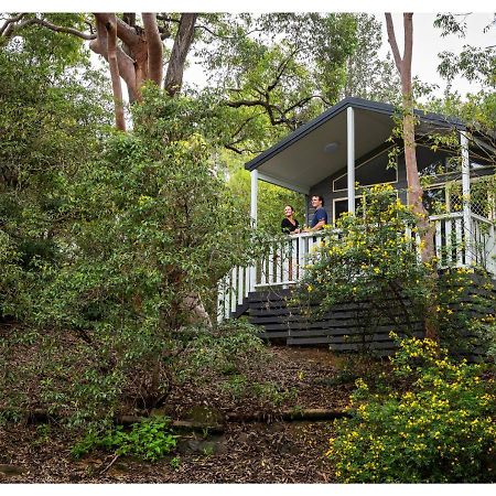 Discovery Parks - Lane Cove Sydney Ngoại thất bức ảnh