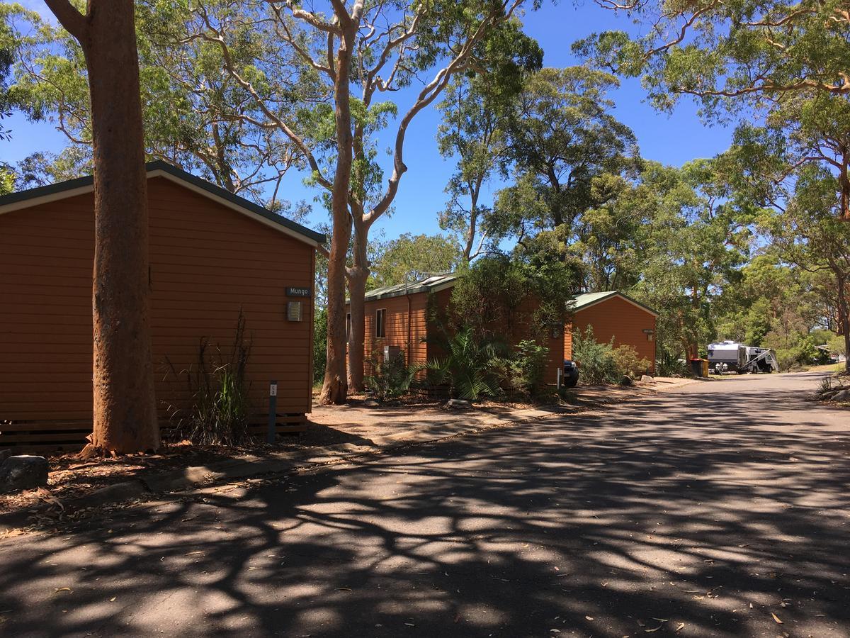 Discovery Parks - Lane Cove Sydney Ngoại thất bức ảnh