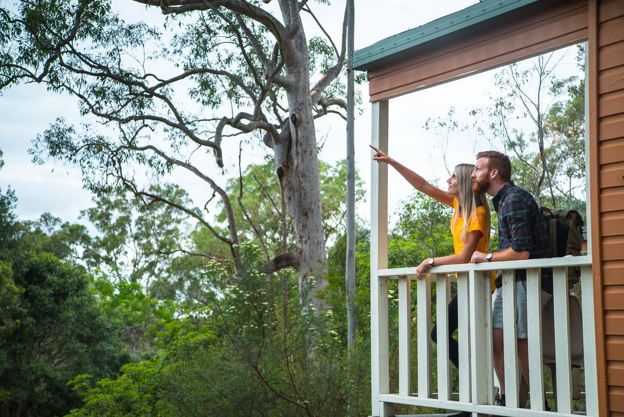 Discovery Parks - Lane Cove Sydney Ngoại thất bức ảnh