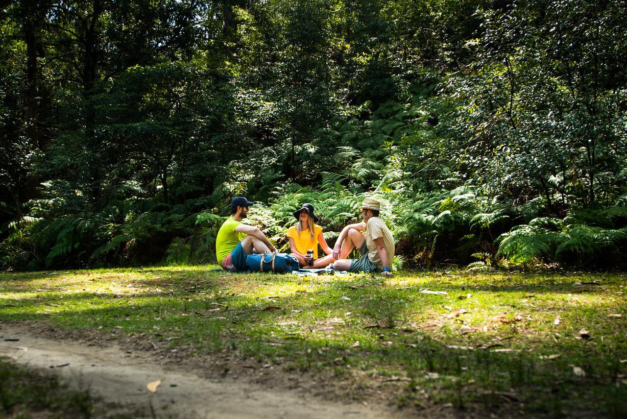 Discovery Parks - Lane Cove Sydney Ngoại thất bức ảnh